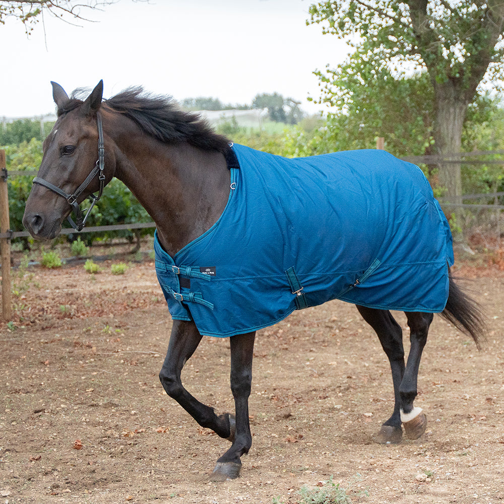 Danka 600D 300G Turnout Rug