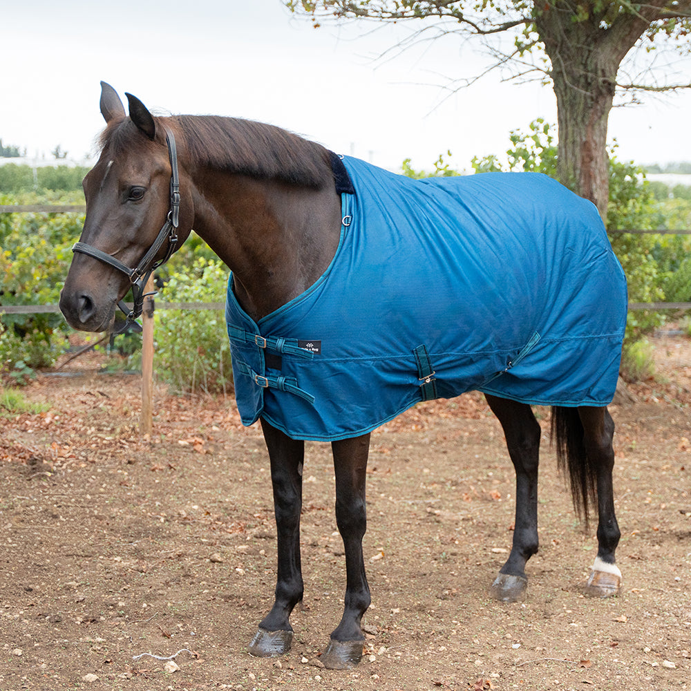 Danka 600D 300G Turnout Rug