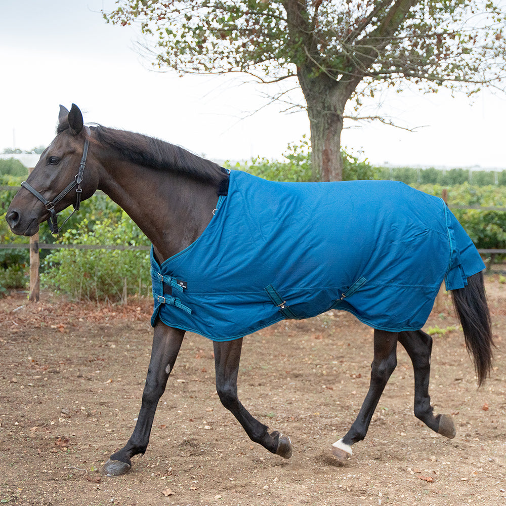 Danka 600D 300G Turnout Rug