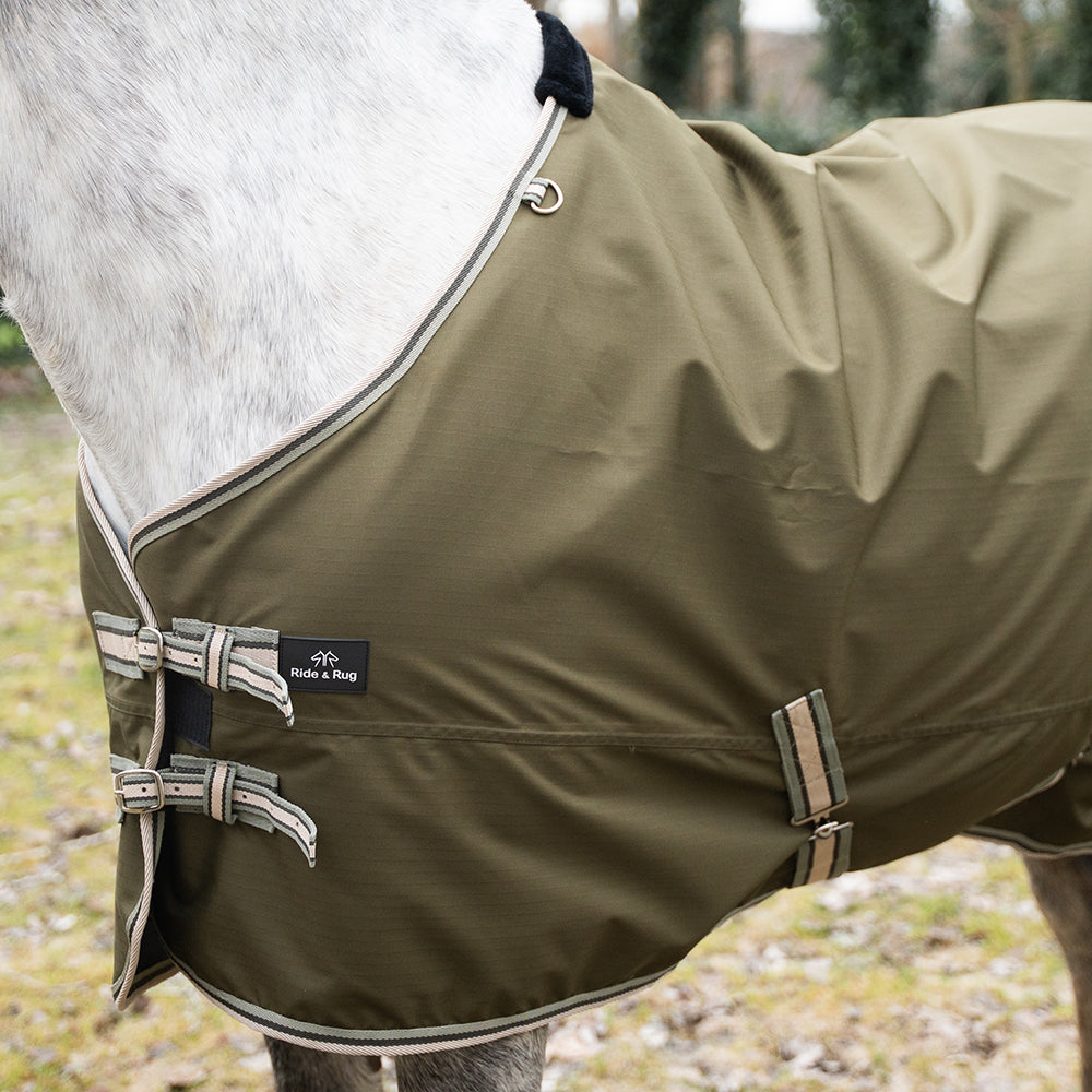 Daphne 600D 0G Turnout Rug