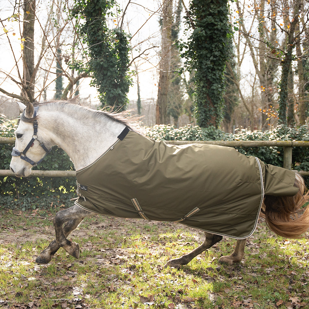 Daphne 600D 0G Turnout Rug