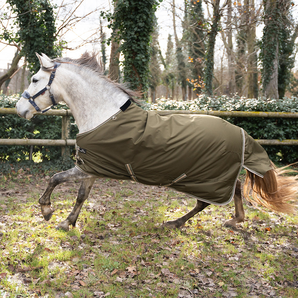 Daphne 600D 0G Turnout Rug