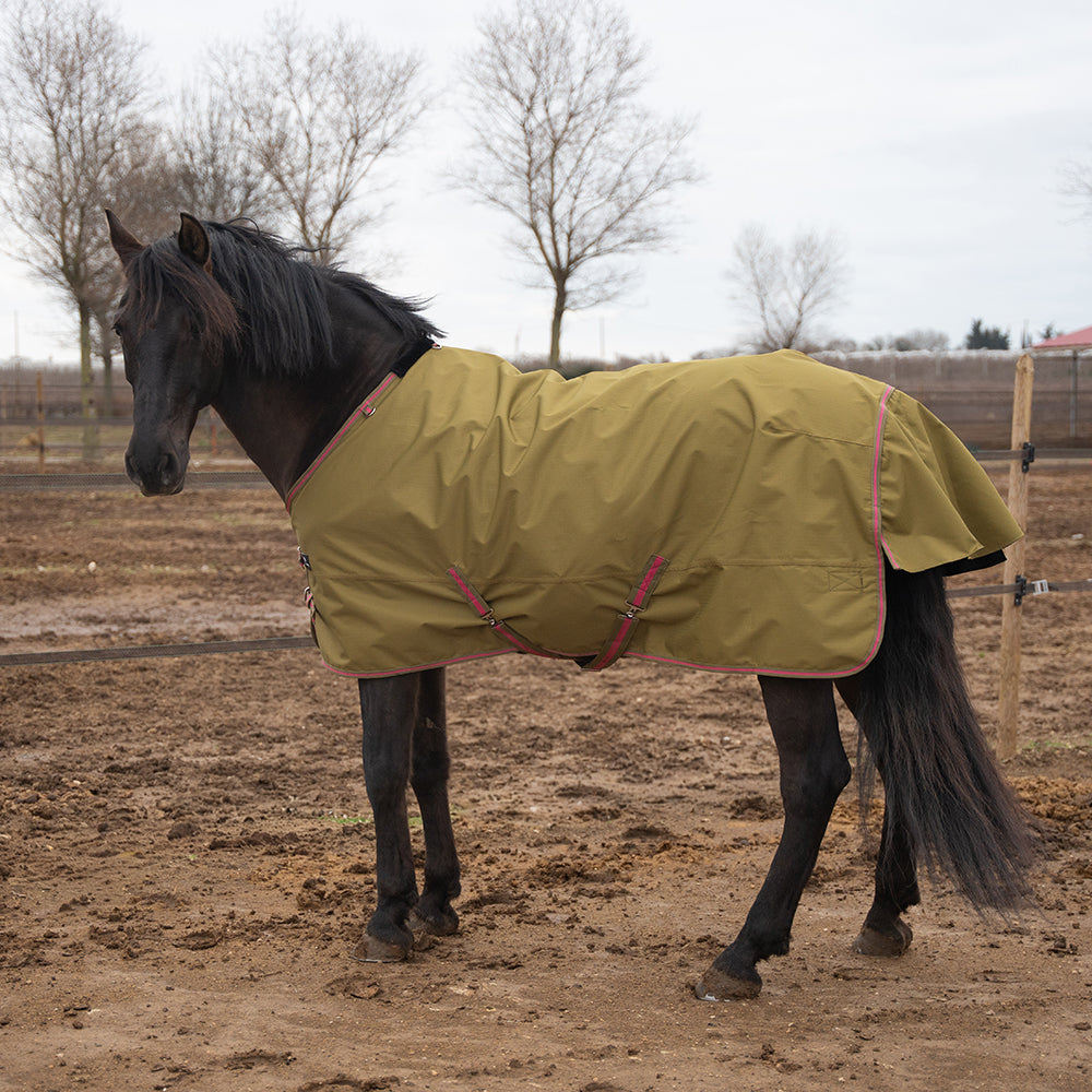Daphne 600D 0G Turnout Rug