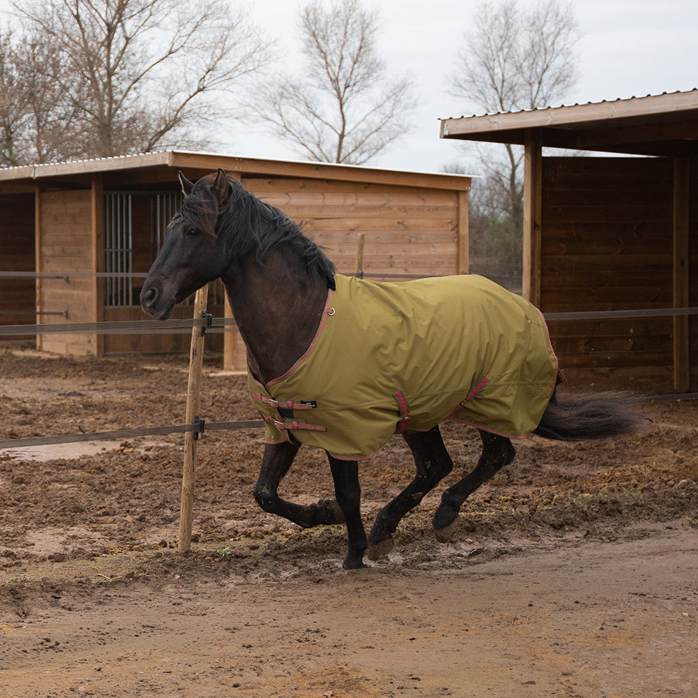 Daphne 600D 0G Turnout Rug