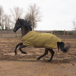 Daphne 600D 0G Turnout Rug