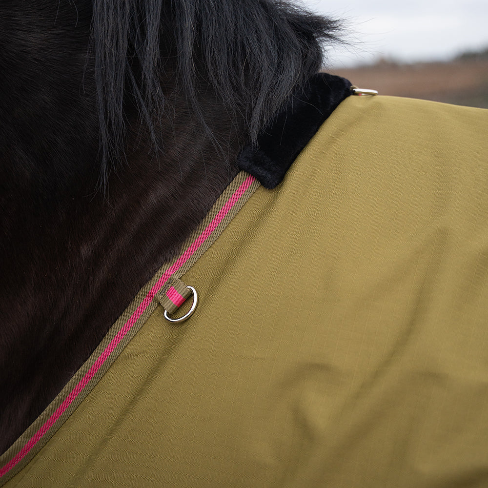 Daphne 600D 0G Turnout Rug