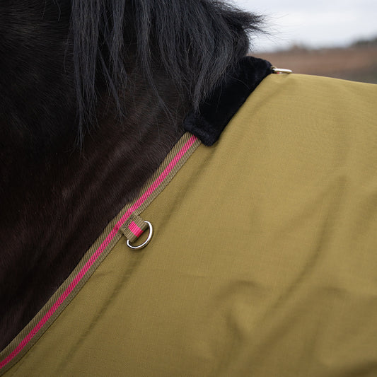 Daphne 600D 0G Turnout Rug