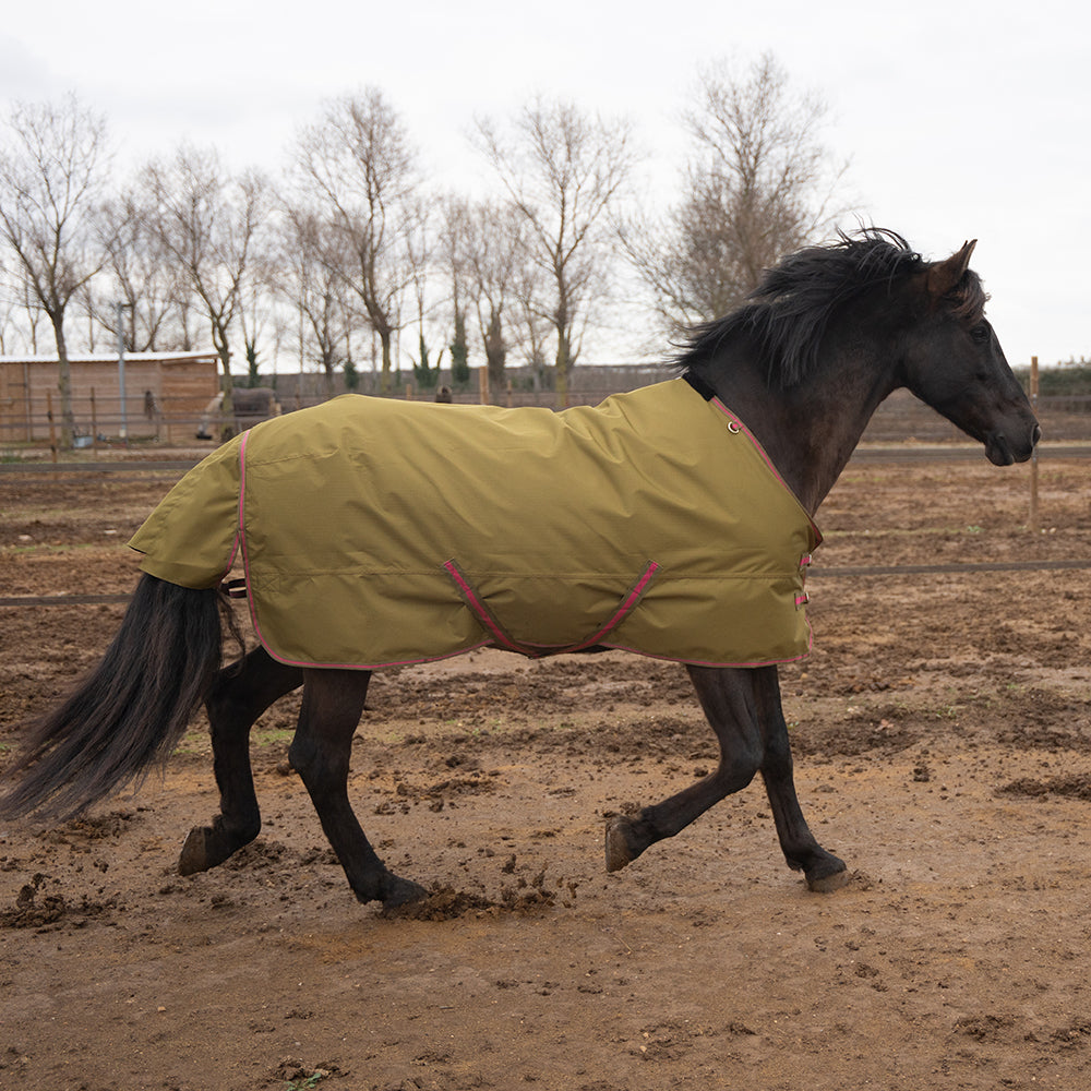 Daphne 600D 0G Turnout Rug