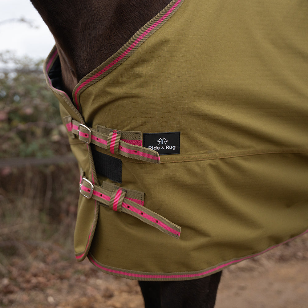 Daphne 600D 0G Turnout Rug