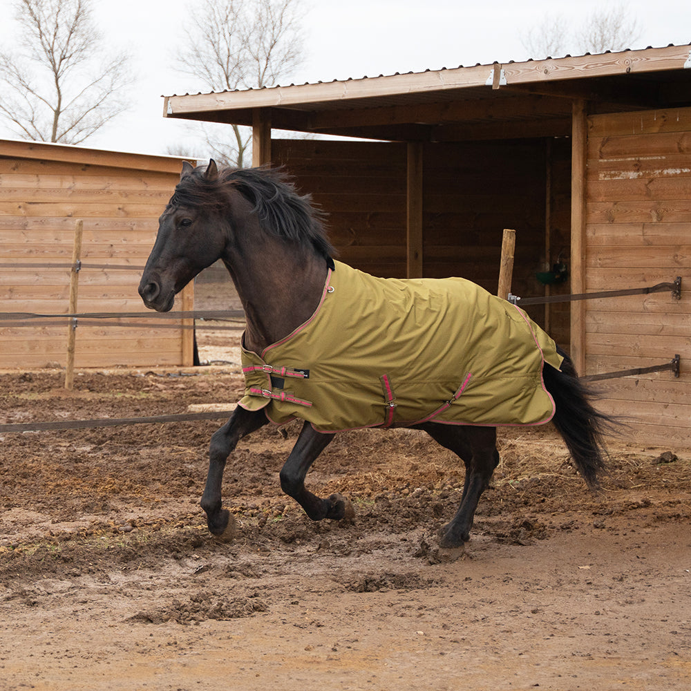 Daphne 600D 0G Turnout Rug