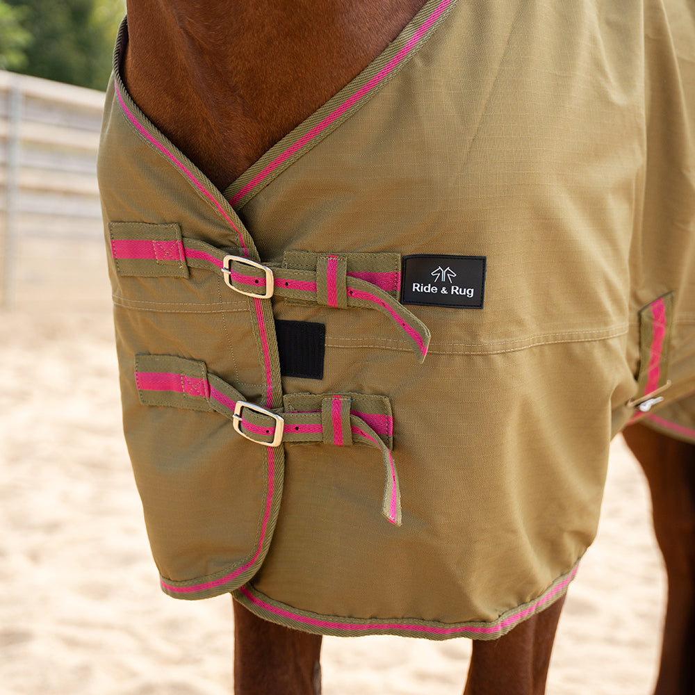 Daphne 600D 0G Turnout Rug