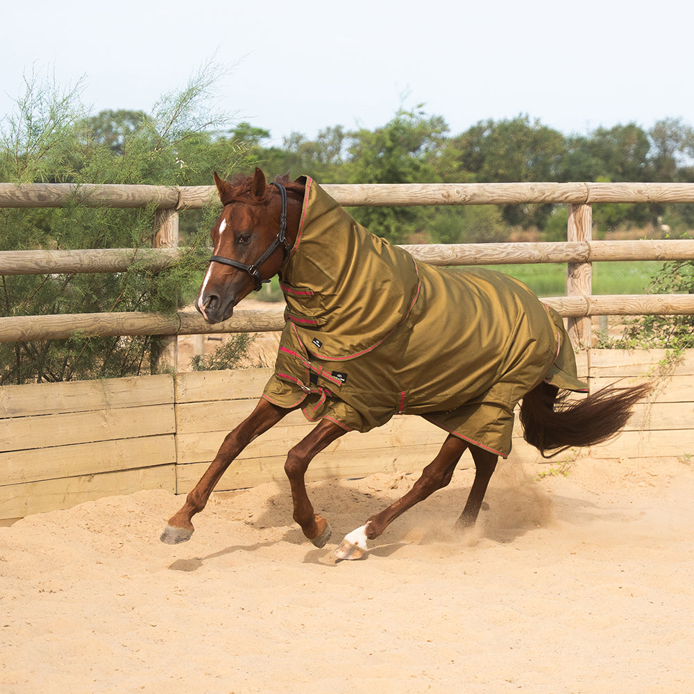 Daphne 600D 0G Turnout Rug