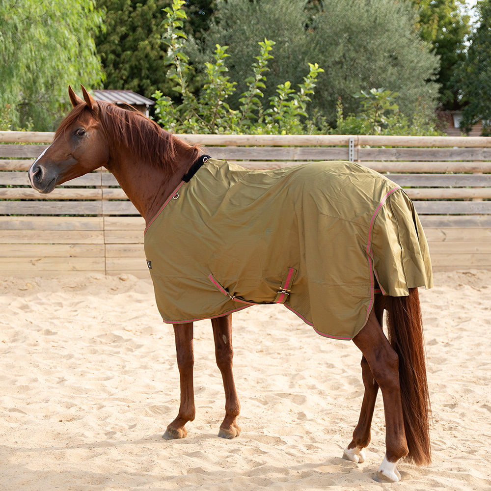 Daphne 600D 0G Turnout Rug