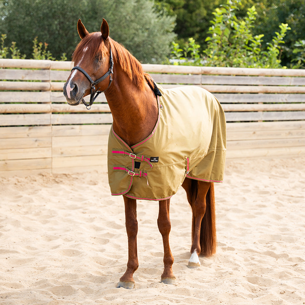 Daphne 600D 0G Turnout Rug