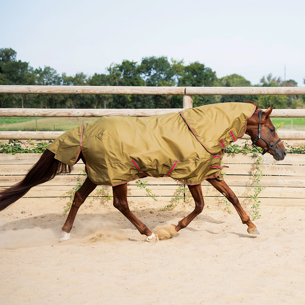 Daphne 600D 0G Turnout Rug