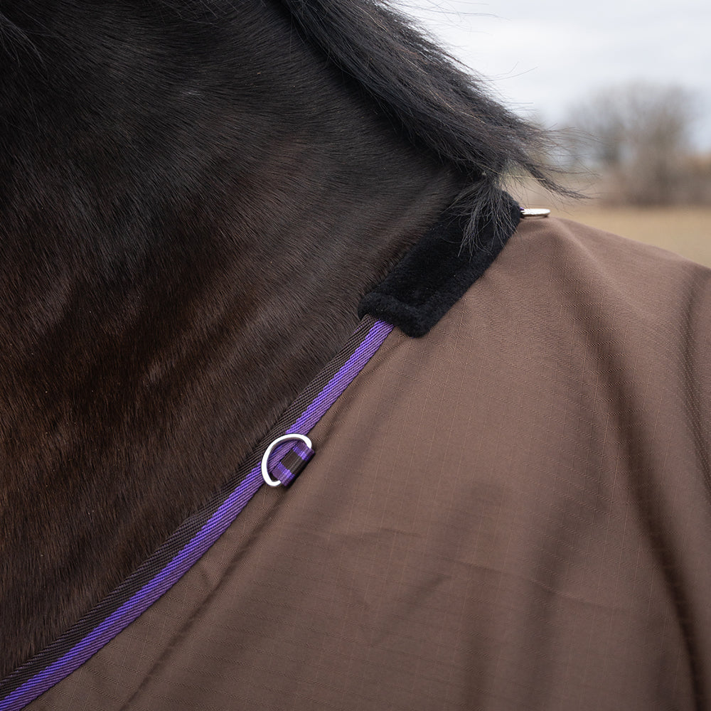 Daphne 600D 0G Turnout Rug