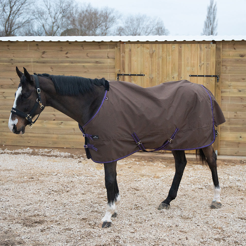 Daphne 600D 0G Turnout Rug
