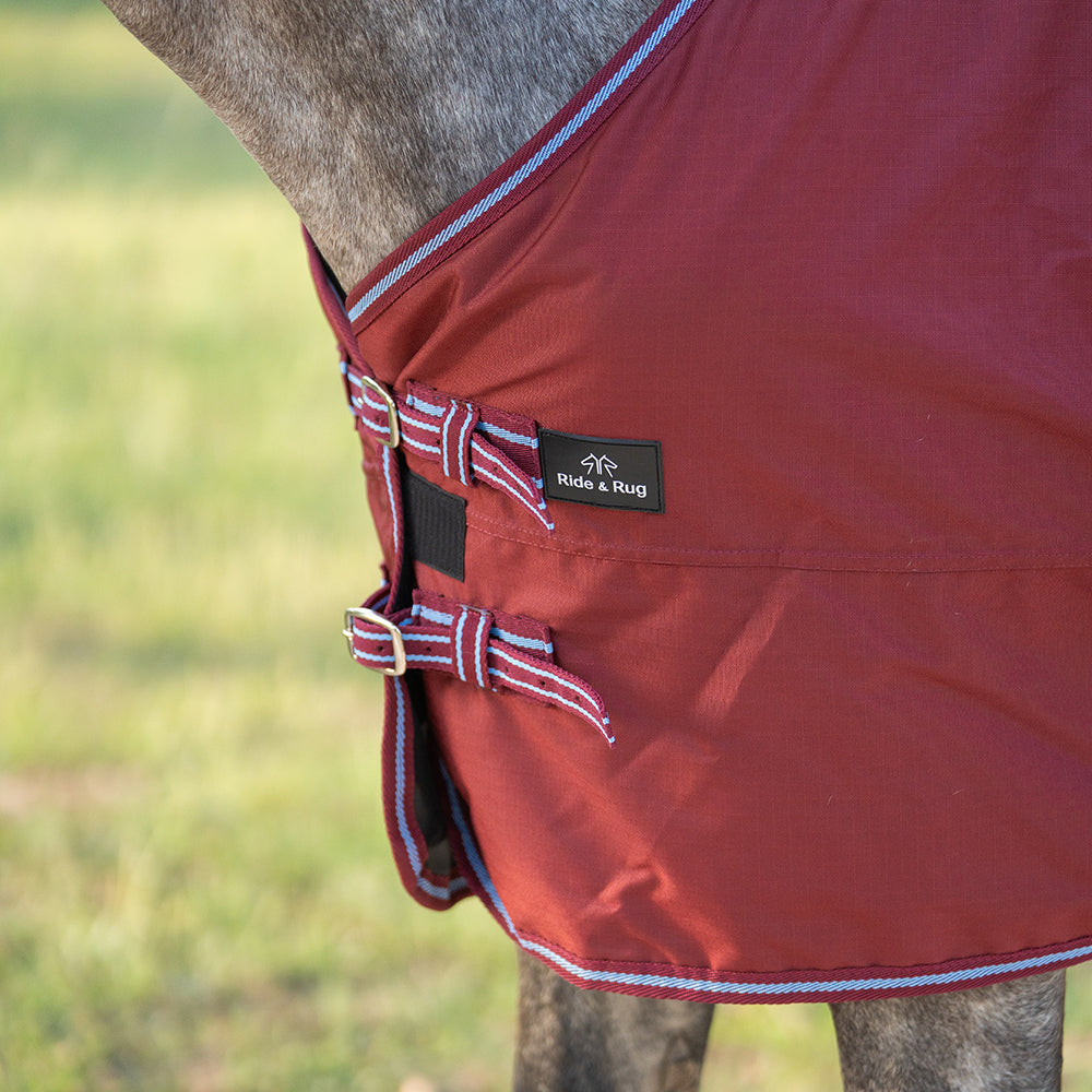 Daphne 600D 0G Turnout Rug
