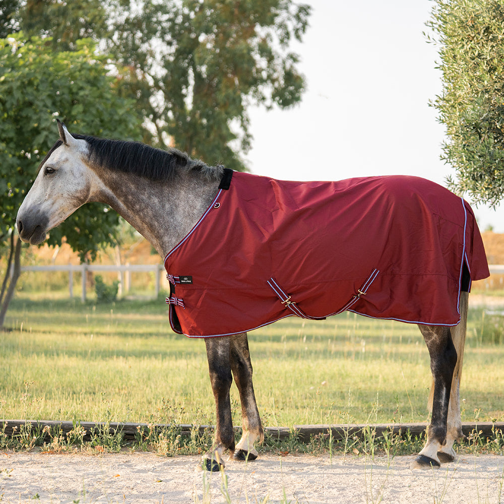 Daphne 600D 0G Turnout Rug