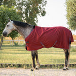Daphne 600D 0G Turnout Rug