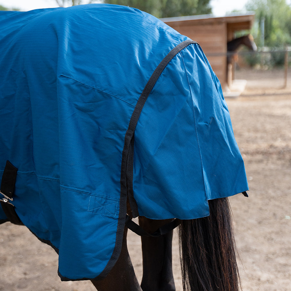 Daphne 600D 0G Turnout Rug