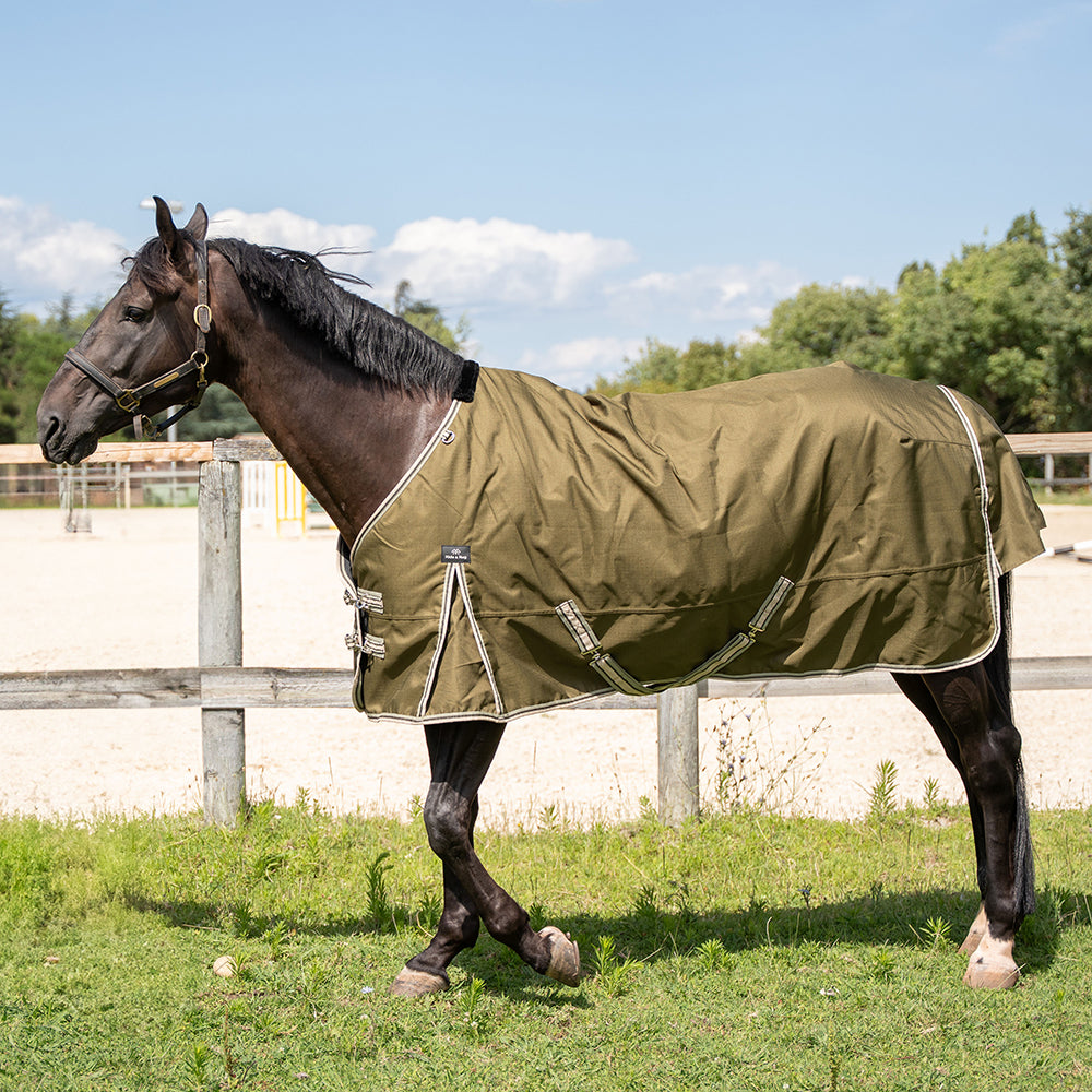 Darla 1200D 150G Turnout Rug