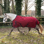 Darla 1200D 150G Turnout Rug