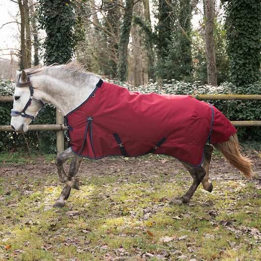 Darla 1200D 150G Turnout Rug
