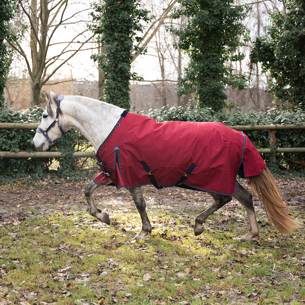 Darla 1200D 150G Turnout Rug
