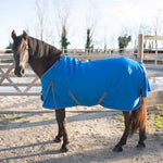 Darla 1200D 150G Turnout Rug