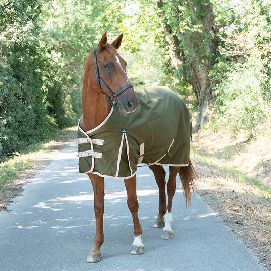 Darla 1200D 150G Turnout Rug