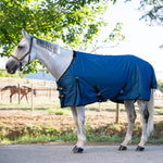 Darla 1200D 150G Turnout Rug