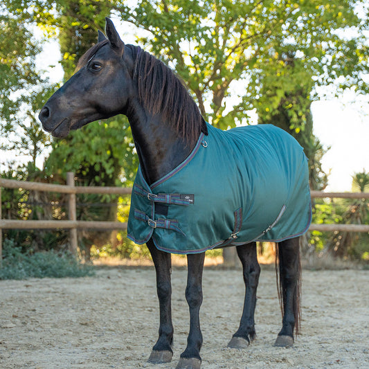 Deanna 600D 150G Pony Turnout Rug