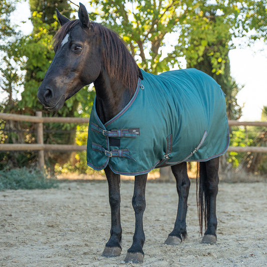 Deanna 600D 150G Pony Turnout Rug