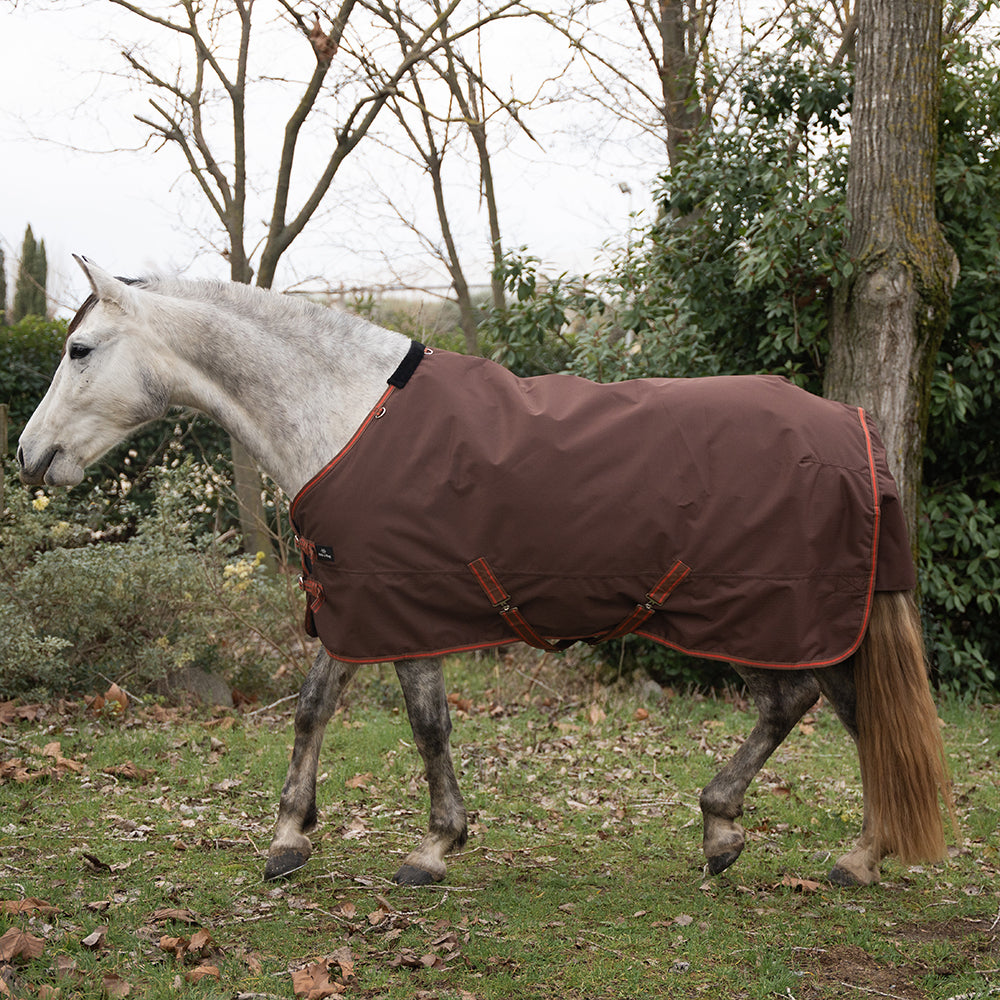 Deanna 600D 150g Turnout Rug