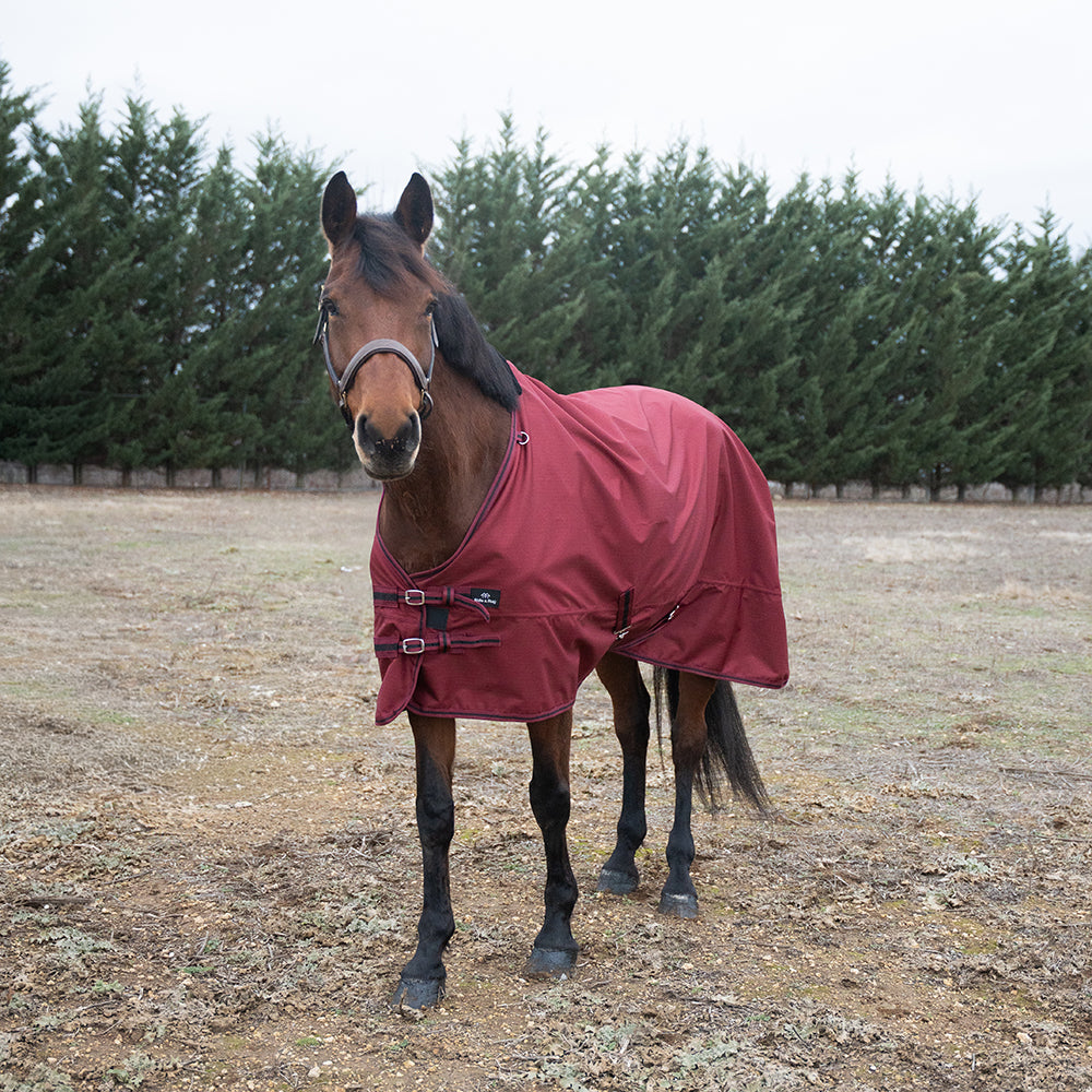 Deanna 600D 150g Turnout Rug