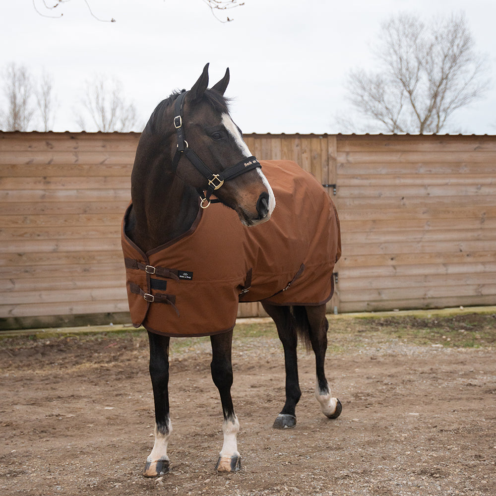 Deanna 600D 150g Turnout Rug