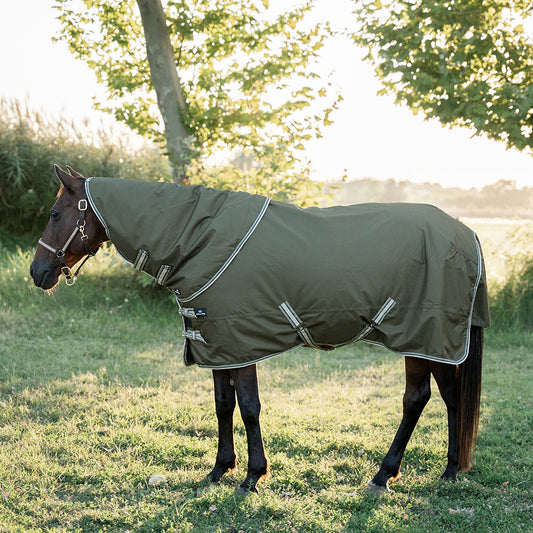 Deanna 600D 150g Turnout Rug