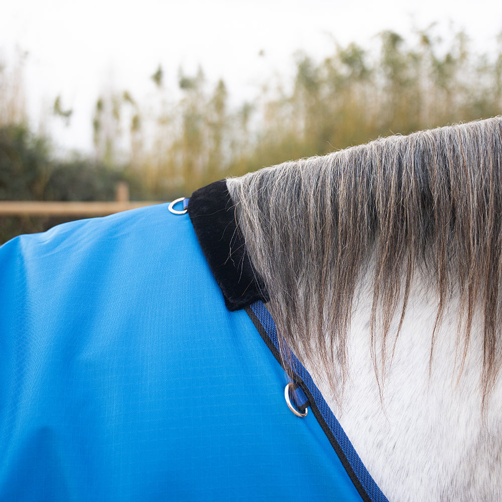 Deanna 600D 150g Turnout Rug