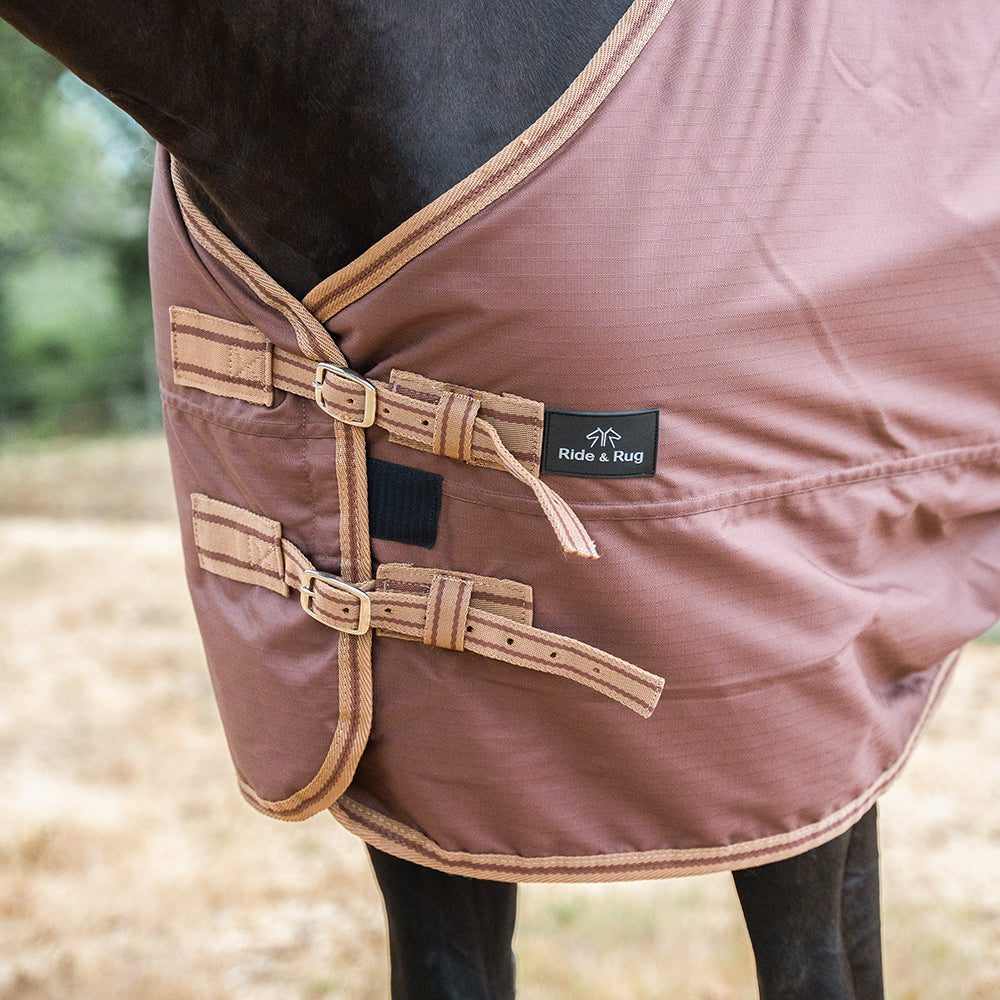 Deanna 600D 150g Turnout Rug