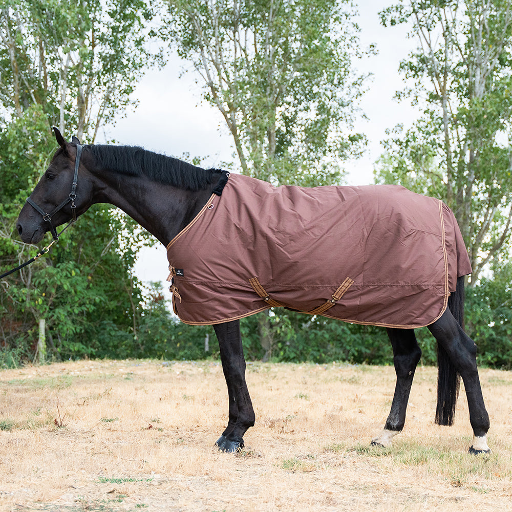Deanna 600D 150g Turnout Rug