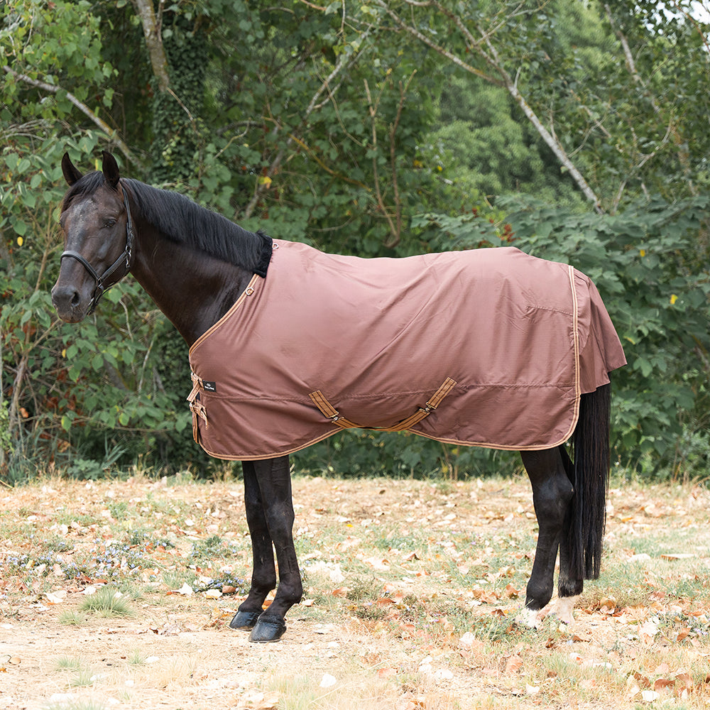 Deanna 600D 150g Turnout Rug