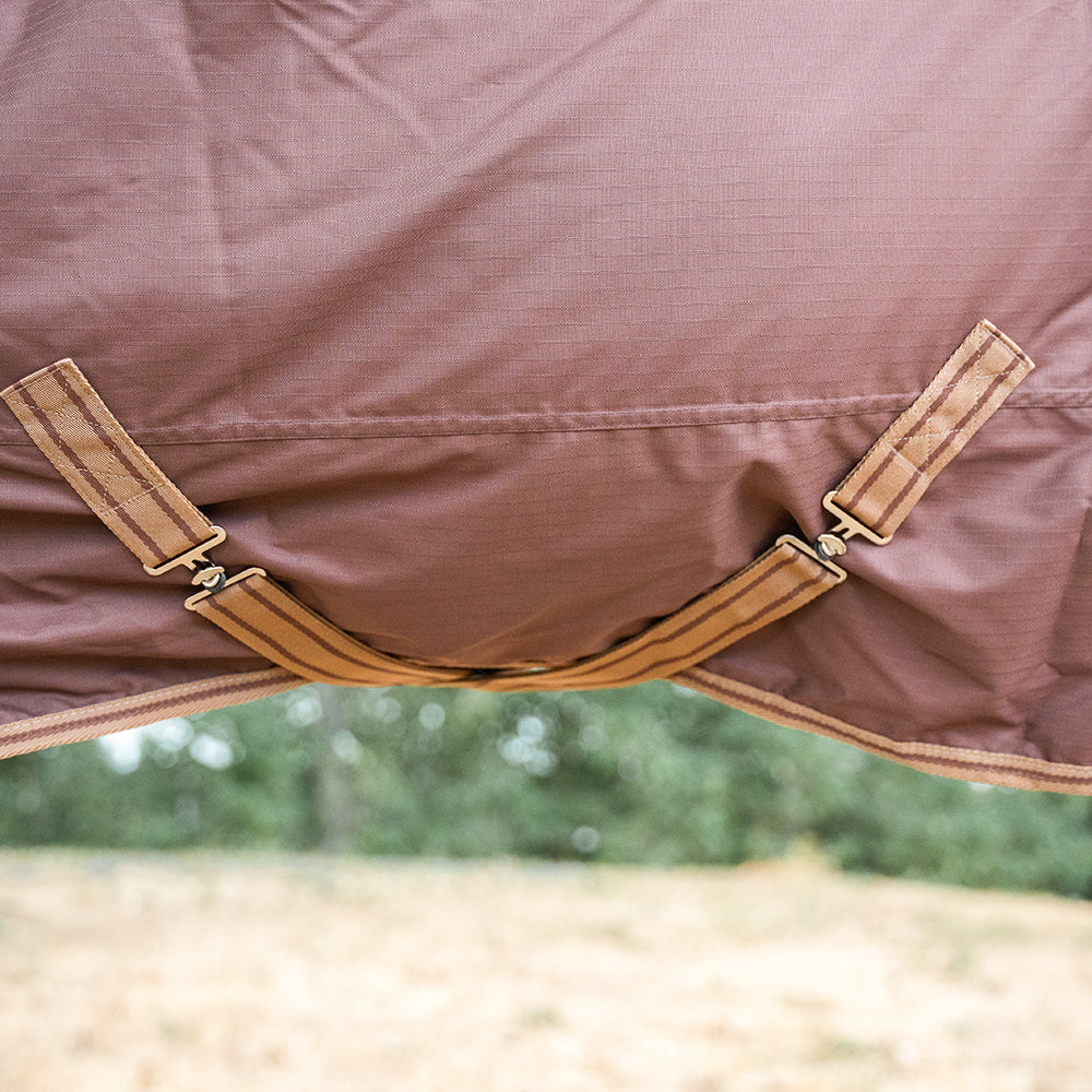 Deanna 600D 150g Turnout Rug