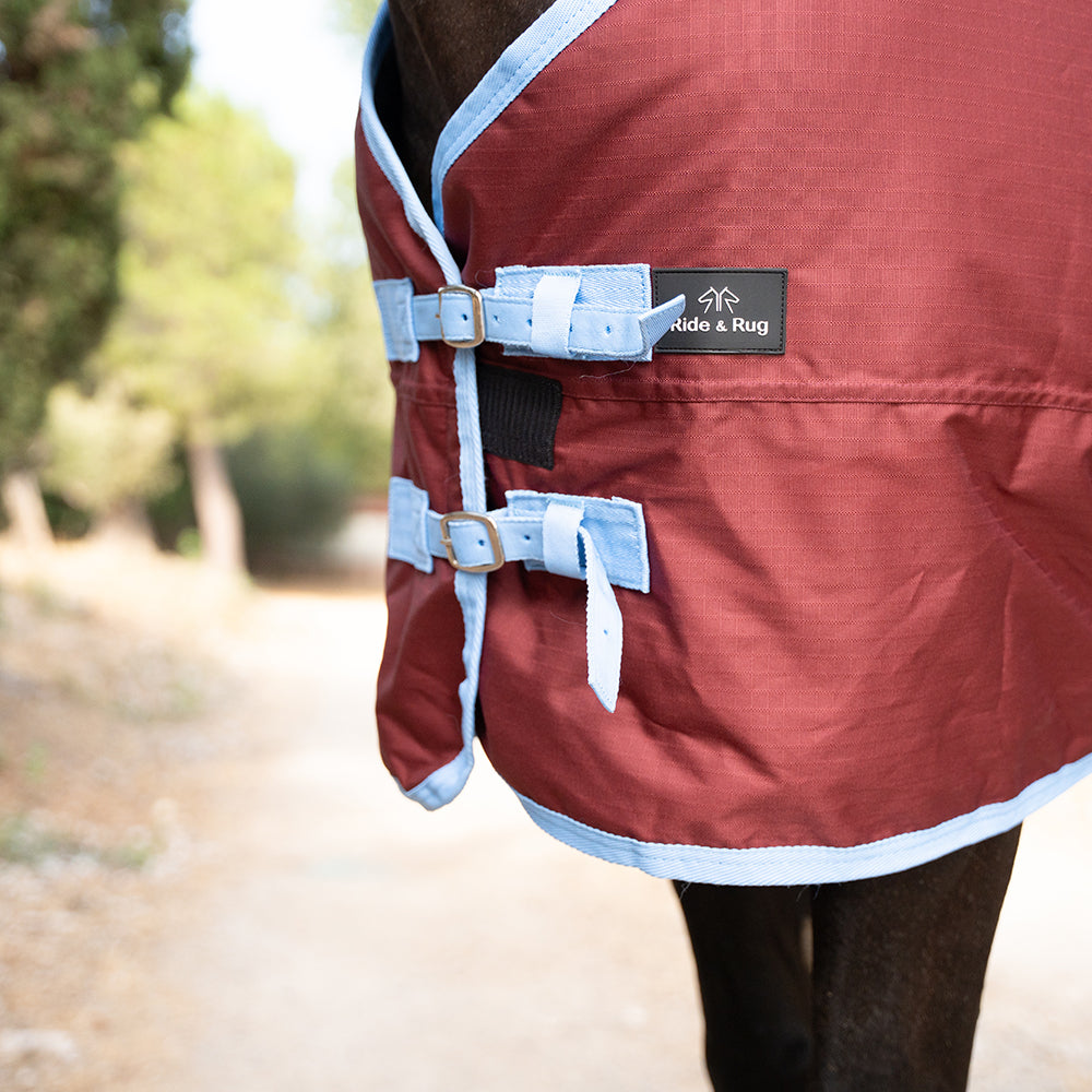 Deanna 600D 150g Turnout Rug