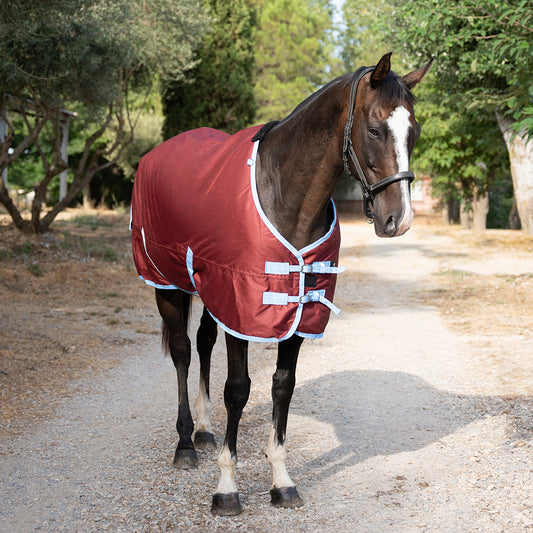 Deanna 600D 150g Turnout Rug