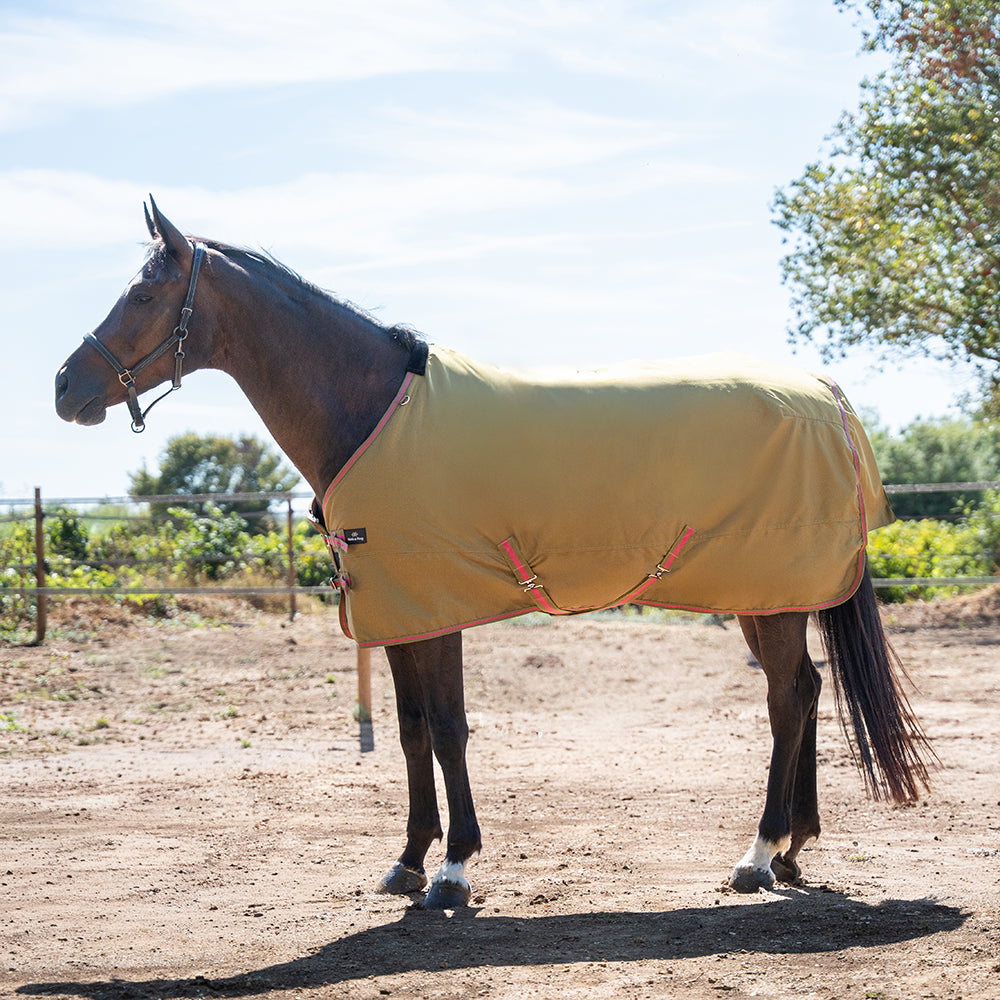 Deanna 600D 150g Turnout Rug