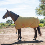 Deanna 600D 150g Turnout Rug