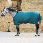 Deanna 600D 150g Turnout Rug