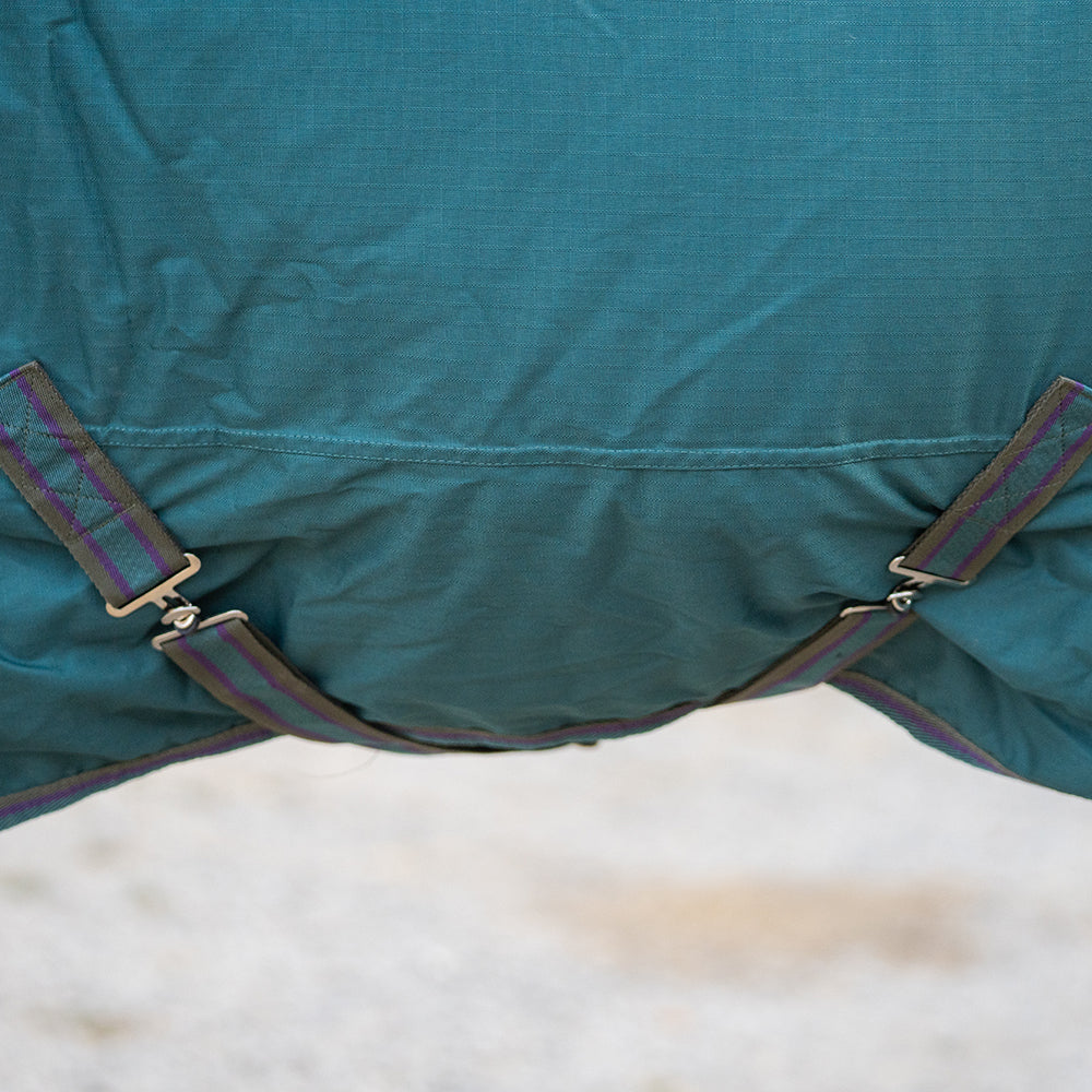 Deanna 600D 150g Turnout Rug