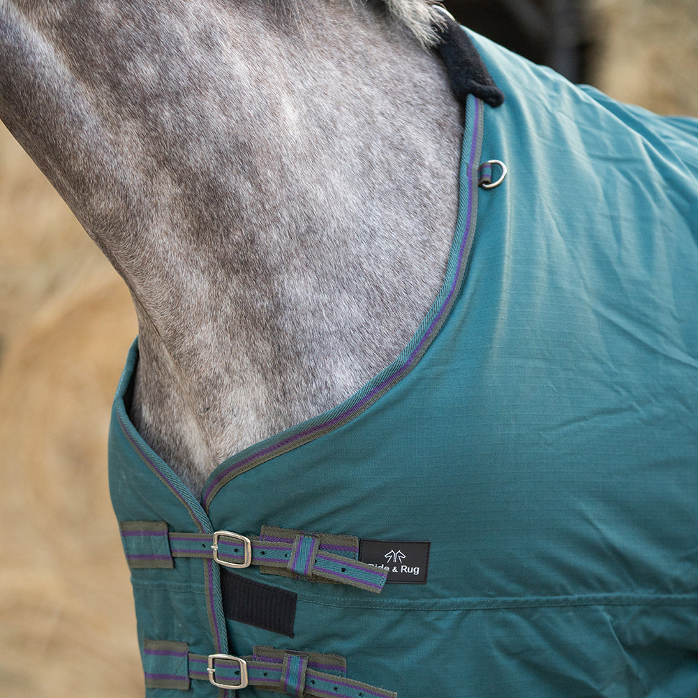Deanna 600D 150g Turnout Rug